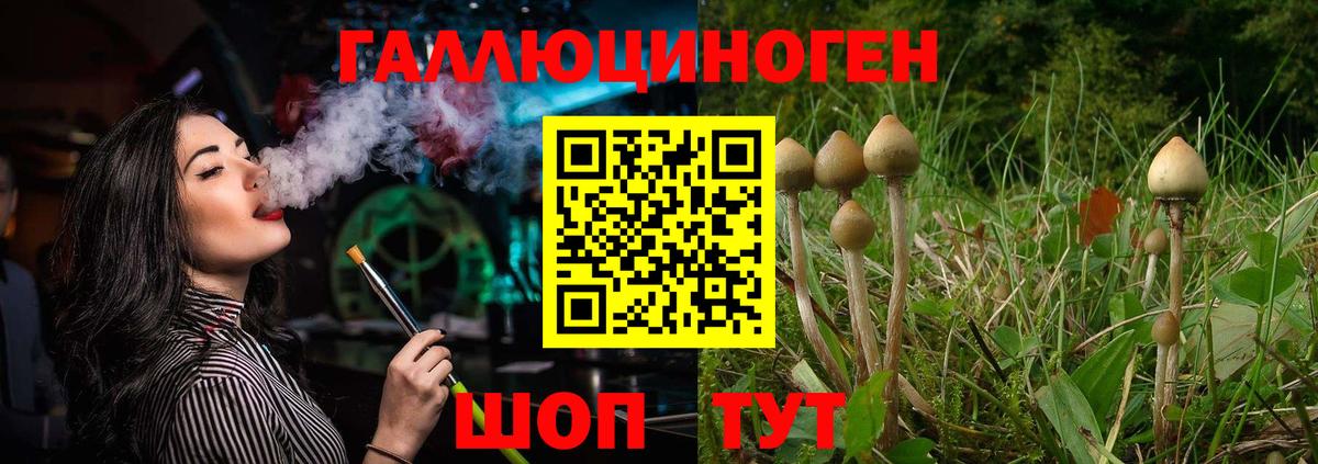 Псилоцибиновые грибы мицелий Мегион