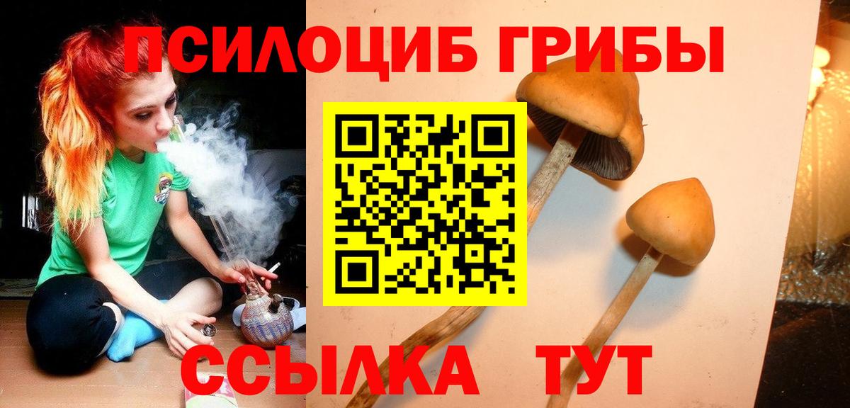 Псилоцибиновые грибы GOLDEN TEACHER  Вход с VPN  Мегион 